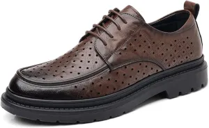 Dress Shoes for Men Lightweight Breathable Lace Up Wedding Shoes Casual Modern Business Formal Oxfords Shoes Classic Modern Formal Leather Shoes Loafers